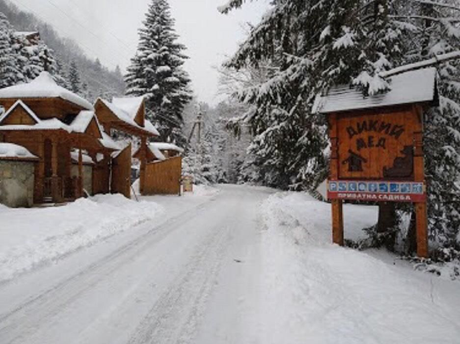 Отель Отель Дикий Мёд Татаров-17