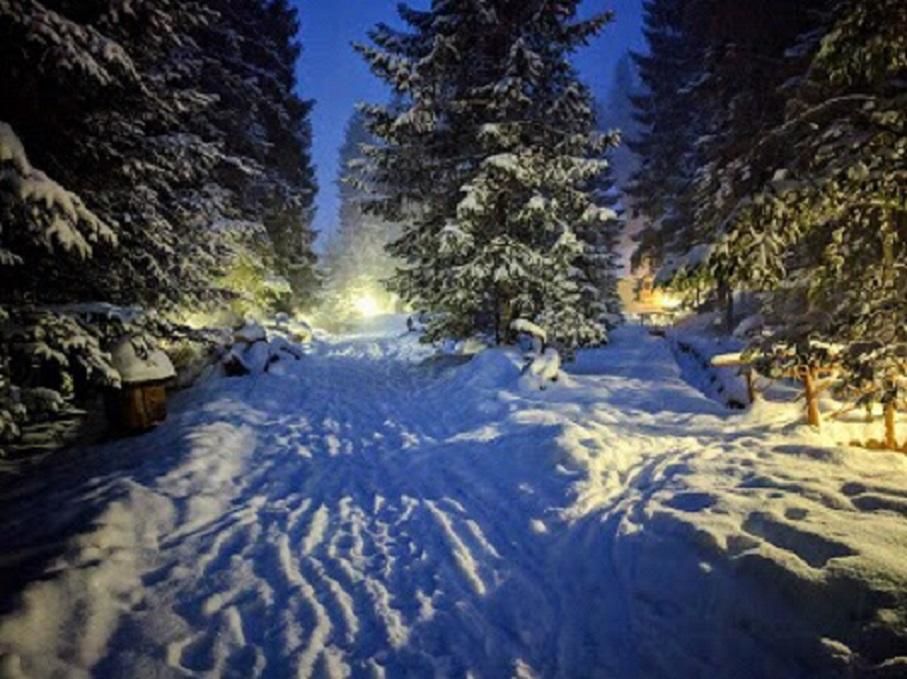 Отель Отель Дикий Мёд Татаров-25