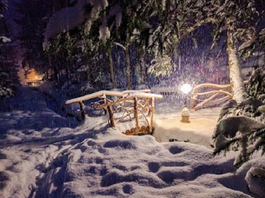 Отель Отель Дикий Мёд Татаров-26