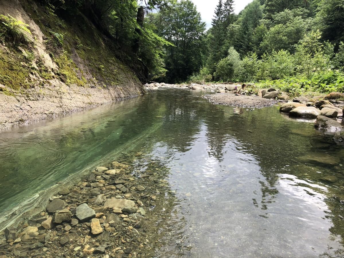 Отель Отель Дикий Мёд Татаров