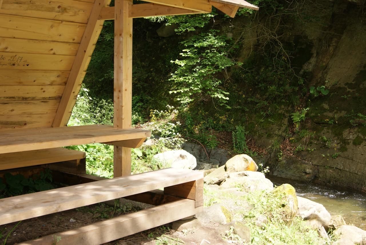 Отель Отель Дикий Мёд Татаров-42