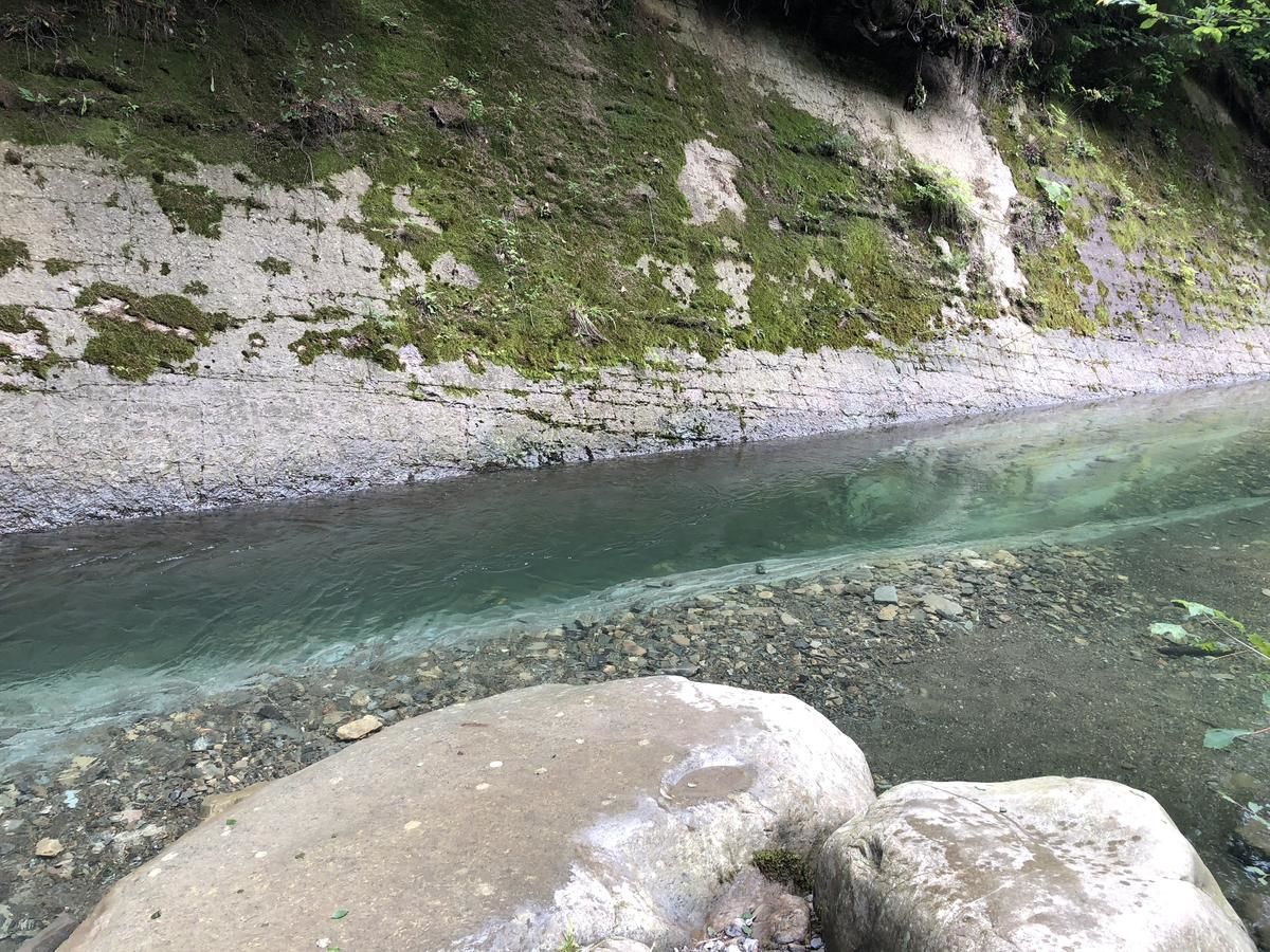 Отель Отель Дикий Мёд Татаров