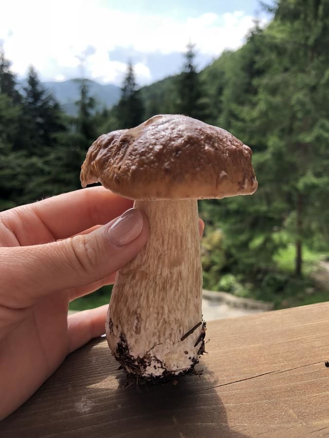 Отель Отель Дикий Мёд Татаров-46