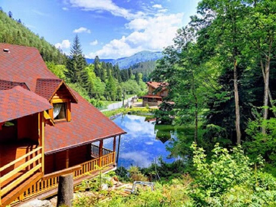 Отель Отель Дикий Мёд Татаров