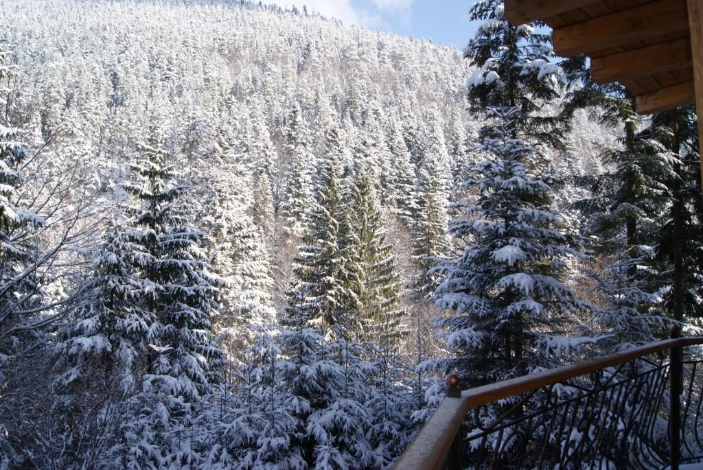 Отель Отель Дикий Мёд Татаров