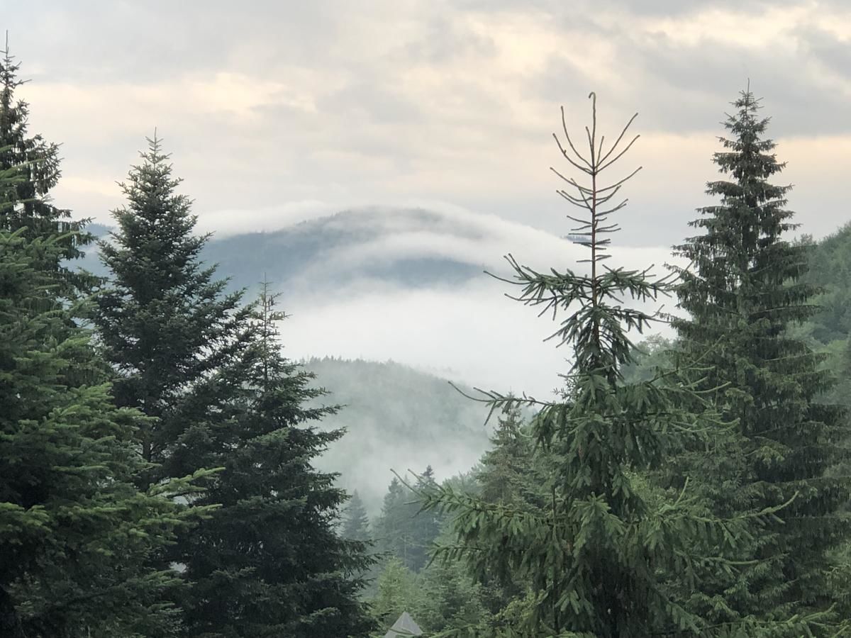 Отель Отель Дикий Мёд Татаров-10