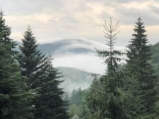 Отель Отель Дикий Мёд Татаров-6